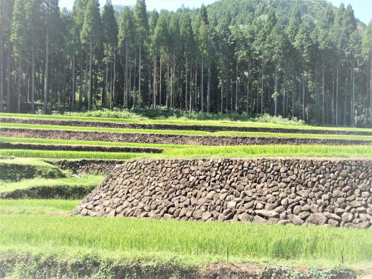棚田(湧水町)