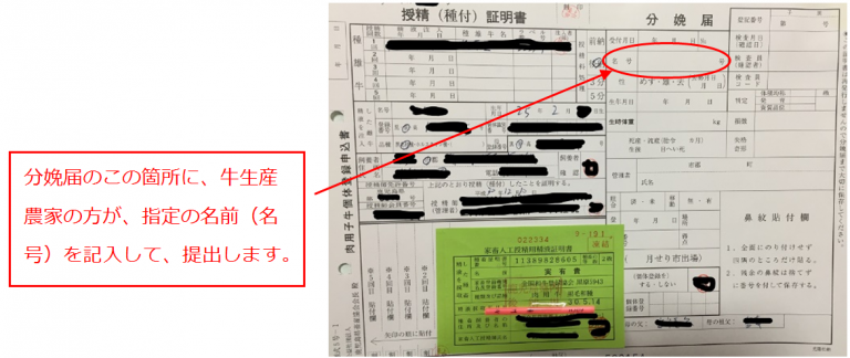 鹿児島黒牛のネーミング事業の詳細 株式会社フロムカーゴ